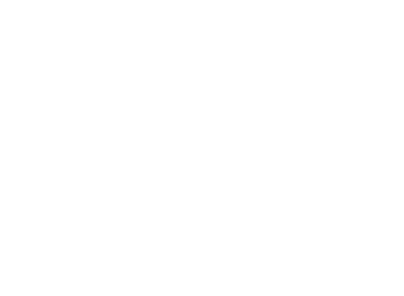 Joyride